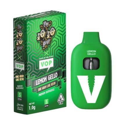 1010boys Vape X VOP