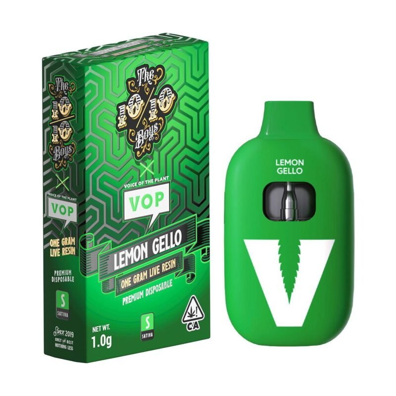 1010boys Vape X VOP