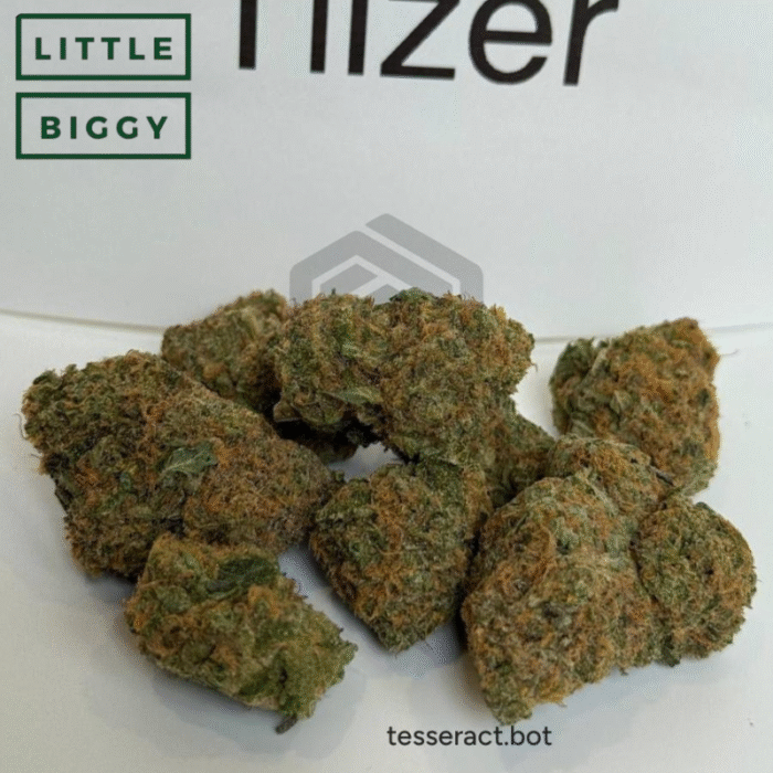tiizer strain